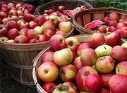Линия для производства натурального фруктового уксуса,  яблочного уксус