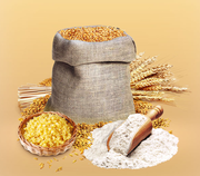 Продам муку пшеничную Казахстанского происхождения