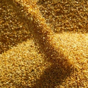 Кукуруза фуражная 600 тонн